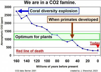 klima-co2-optimum.jpg